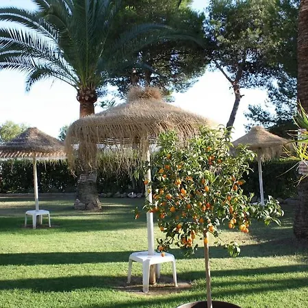 Apartment High Rated With Garden In Lovely Miraflores Urbanisation